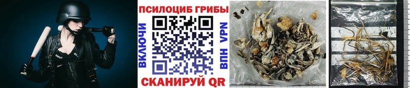 Псилоцибиновые грибы MAGIC MUSHROOMS Ладушкин